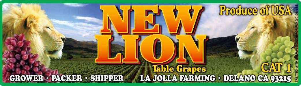 NewLion